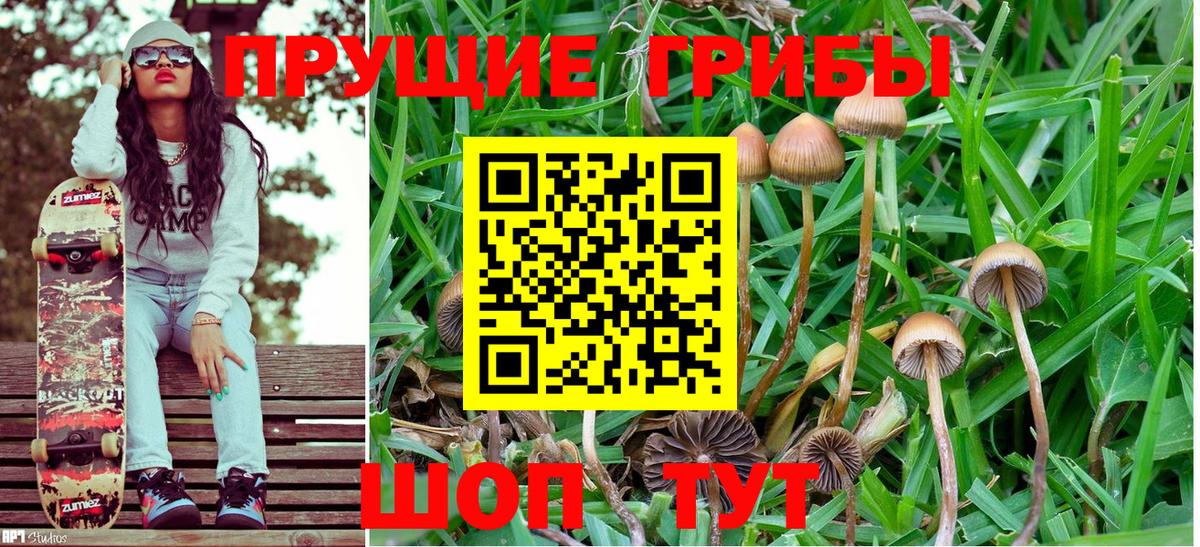 Гагарин  Галлюциногенные грибы Cubensis  Галлюциногенные грибы Magic Shrooms  Вход с VPN 